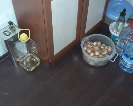 IMG-20230807-WA0081