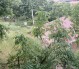 01 (29)
