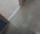 IMG-20250603-WA0007
